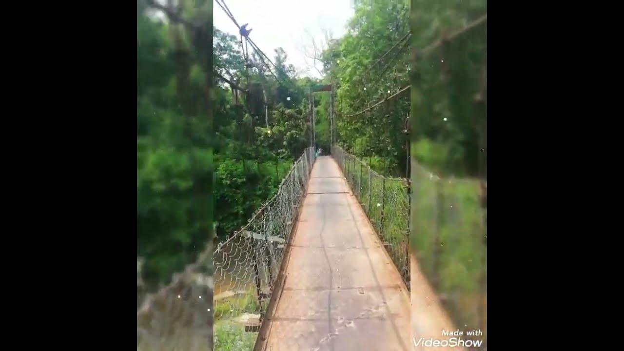 Garampani wildlife sanctuary bridge 