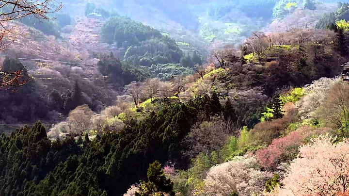 Beautiful Nature  -Spring-  美丽壮观的自然景观 -春天- - 天天要闻