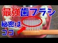 歯科用品のプロがおススメする歯ブラシ！誰でも簡単に綺麗に磨ける！【システマgenki】