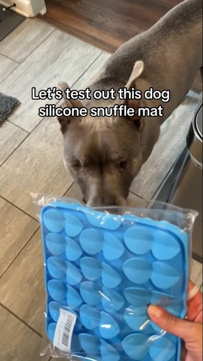 Dog Silicone Snuffle Mat Review! #fromdusktilldog #dogtrainingtips 