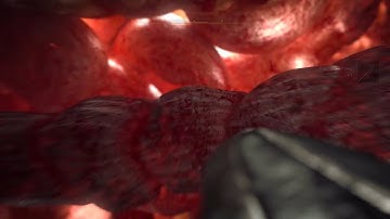 Valhalla Confirm Kill #shorts