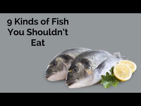 Video: 7 Types Of Fish You Shouldn't Eat