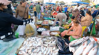 Exploring Cambodia's Rich Fishing Traditions: From Mekong, Tonlesap, Farms to Market - Fish Market