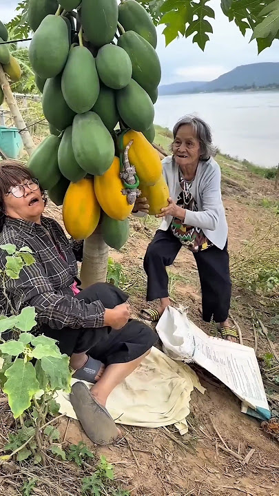 tingkah lucu nenek nenek