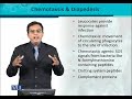 BT302 Immunology Lecture No 126