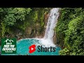 Costa Rica Veragua Rainforest #costarica #shorts #centralamerica