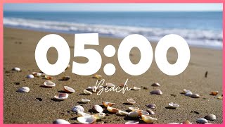 5 Minute Timer With Relaxing Music BEACH [CALM-AMBIENT-RELAX-MEDITATION]