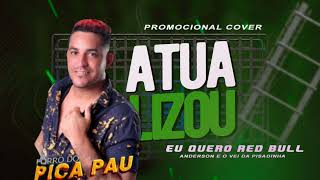 Fabio Teclas Forró Do Pica Pau Cover Anderson E O Vei Da Pisadinha Resimi