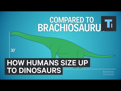 This is how humans size up in comparison to dinosaurs