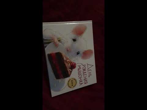 Честный обзор книги " День рождения мышонка" изд. Стрекоза