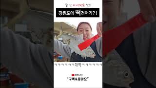 #shorts 가을전어 이것만 알면 잡을수있어요~ #fishing #생활낚시