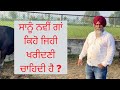 WHICH TYPE OF COW U HAVE TO BUY| HINDI |AULAKH DAIRY FARM |RAMPURA PHUL| BATHINDA| PUNJAB |