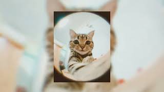 𝐖𝐚𝐲𝐧𝐞 𝐟𝐥𝐞𝐧𝐨𝐫𝐲 - 𝐒𝐮𝐩𝐚𝐫𝐨 Super Slowed