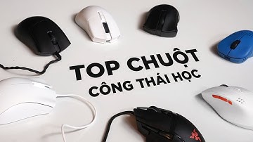 Hướng dẫn chọn Chuột Công Thái Học? (2023)