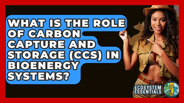 What Is The Role Of Carbon Capture And Storage (CCS) In Bioenergy Systems? - Ecosystem Essentials