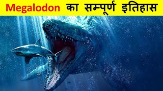 दुनिया की सबसे खतरनाक शार्क , मेगालोडोन  History of Megalodon and Why they went Extinct