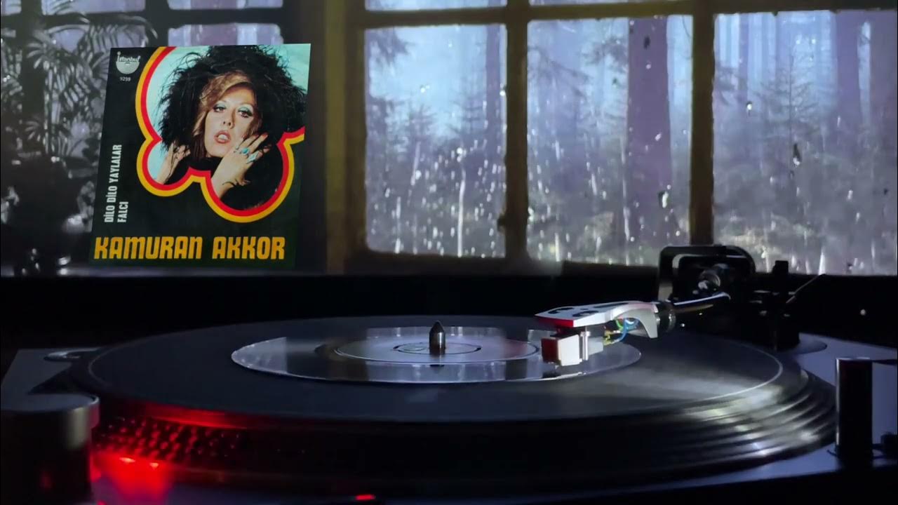 Erkak jinsiy aloqada