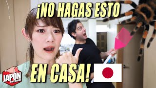 SUPERSTICIONES RARAS de las CASAS JAPONESAS