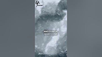 External Validation Trap