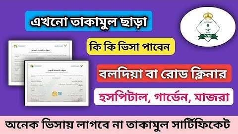 What professions can still come to Saudi Arabia without a visa? | Will a Baldia visa hospital vis...