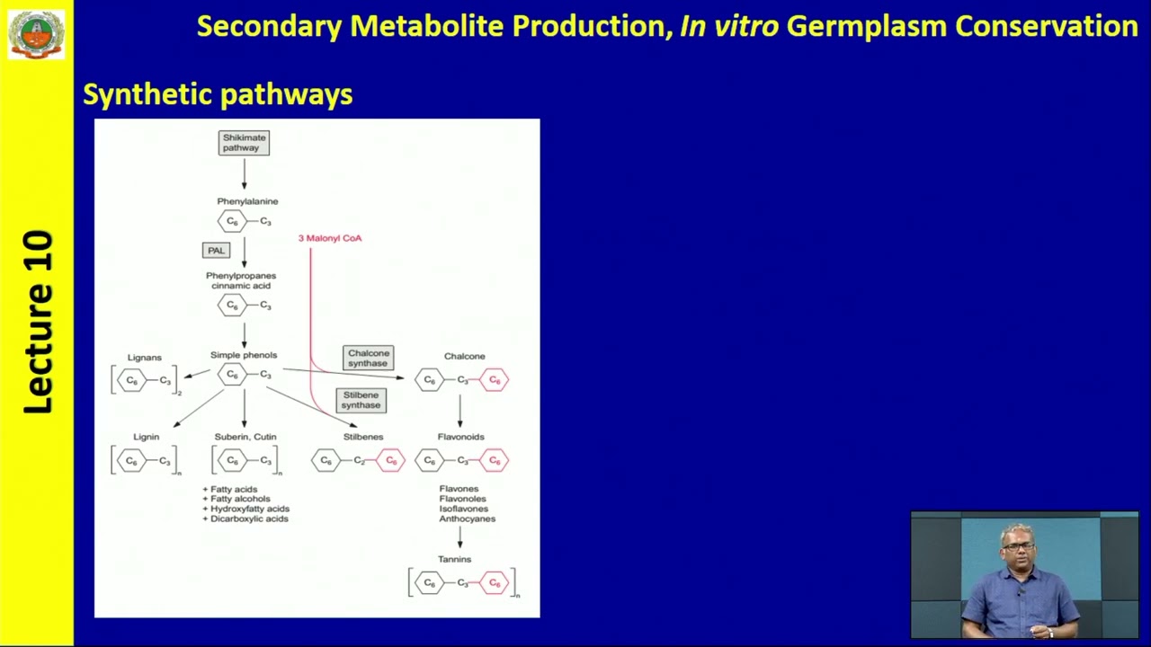 Lec 10 - ABT 301- Secondary metabolite production, invitro germplasm conservation.