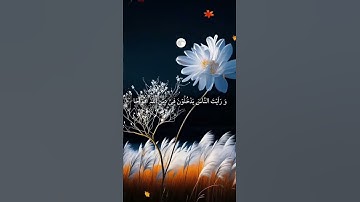 #سورة_النصر #اكسبلور #المصحف #تيك_توك #دحمان #لايك #الرحمن #دويتو #القزابري #duet