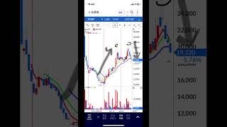뉴로핏 쌍봉, 하락 전환, 주식 주가 전망, 차트 분석