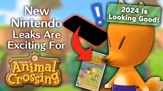 New Nintendo Leaks Are EXCITING News For Animal Crossing by Crossing Channel 34,915 views 3 months ago 8 minutes, 9 seconds
