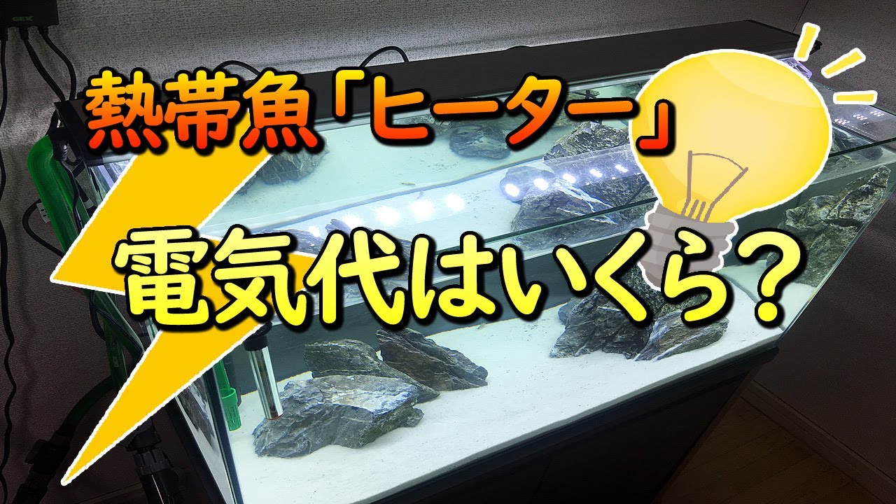 熱帯魚 ヒーターの電気代はいくら アクアリウム Youtube