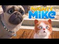 Mike une vie de chien  compilation de 30 minutes