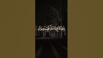 "وَإِذَا سَأَلَكَ عِبَادِي عَنِّي.. فَإِنِّي قَرِيب 🌙| قرآن كريم يلامس القلوب | راحة نفسية"