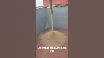 soybeans in bulk loading in ship #trending #subscribe #viral video
