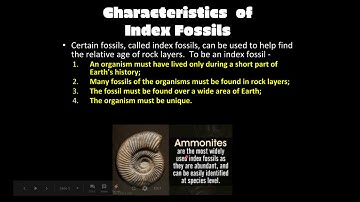 Index Fossils 8.E.6A.2