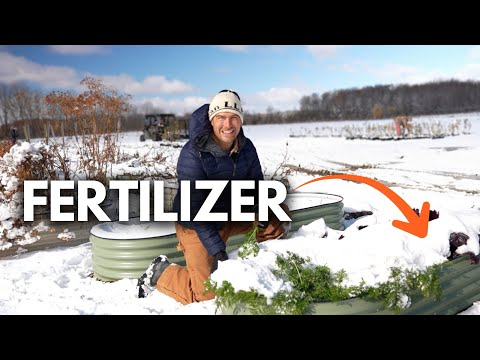 Don T Believe These LIES About Winter In The Garden 