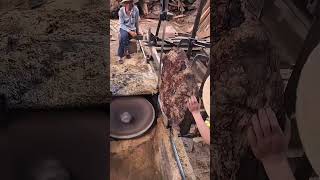 The Process of Sawing Large Logs Using a Unique Traditional Machine