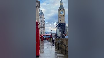تلاوه هادئه للقارئ الشيخ ياسر الدوسري اكتب شيء تؤجر عليه ♥🌹