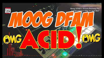 Arturia Beatstep Pro + Moog DFAM as a Melodic 303 Acid Box