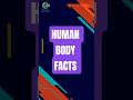 Human body facts:can yoU get 5/5 #biologyquiz #anatomyquiz