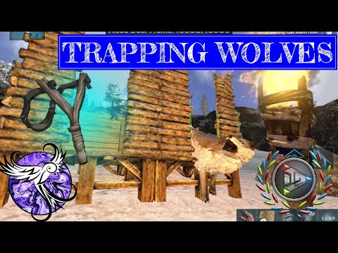 WOLF TRAP AND ASCENDANT SLINGSHOT | Arktic Hardcore Survival Episode 13 | ARK Survival Evolved ...