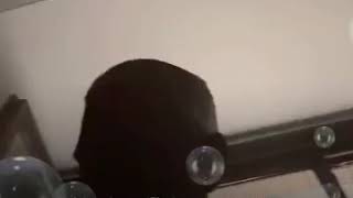 Tek Ses 72 Töbe Olsun Daha Aramam