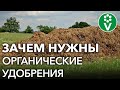 ЧТО БУДЕТ, ЕСЛИ НЕ ВНОСИТЬ ОРГАНИЧЕСКИЕ УДОБРЕНИЯ?