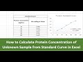 How to calculate protein concentration of unknown sample from standard curve in excel