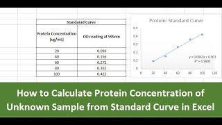 How to calculate Protein Concentration of Unknown Sample from standard curve in excel screenshot 3