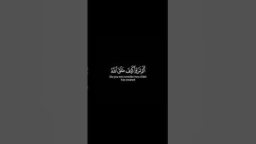 ما تيسر من سورة نوح | القرآن الكريم | القارئ ياسر الدوسري | كروما