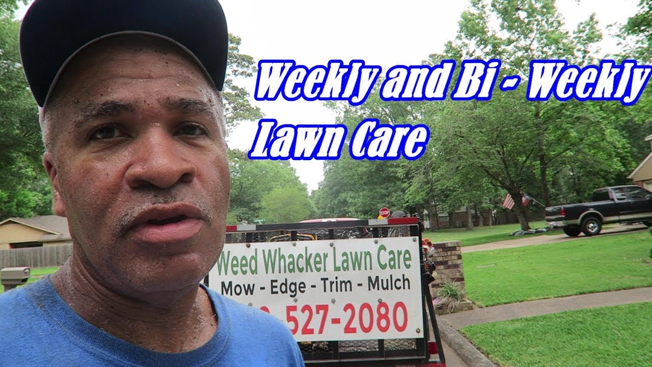 Weekly And Bi Weekly Lawn Care YouTube