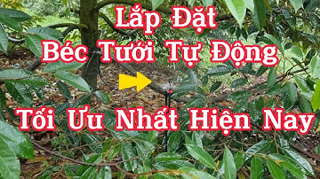 lắp đặt béc tưới tự động  tối ưu và tiết kiệm nhất hiện nay