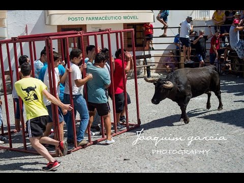 touro na rua sao bartolomeu outeiro 2017