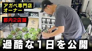 Vlog] A Day in the Life of a Plant Shop Owner [Agave][Mr. ROCK