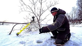 РАЗБУРИЛ КОРЯГИ и ПРИПЛЫЛИ ОНИ!!! Рыбалка по первому льду на большой реке. Балансир.