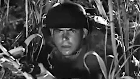 Notes on Jungle Warfare